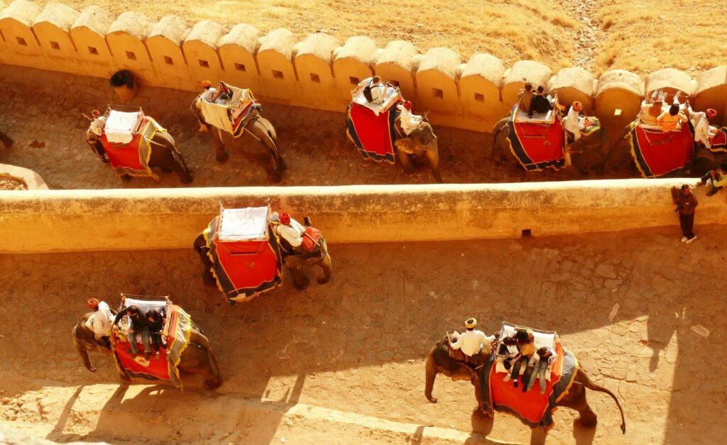 Amber Fort Elephant Ride Jaipur