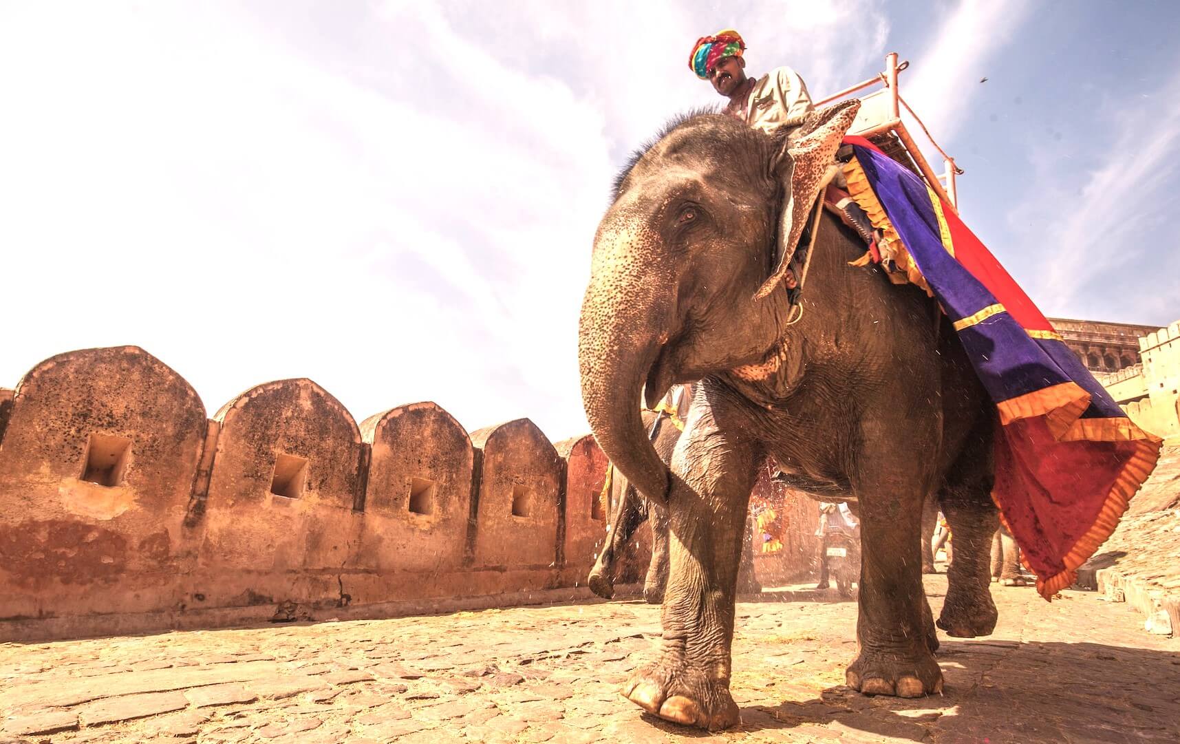 Elephant Ride at Amer Fort in Jaipur Vardhman Vacations