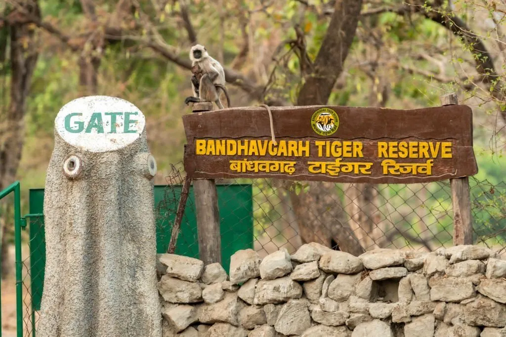 Wildlife Tours India | Top Wildlife Destinations to Explore in India