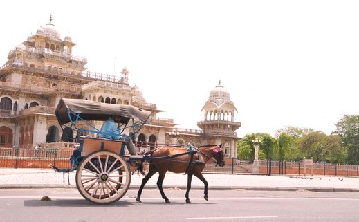 Tonga Ride Experience Jaipur