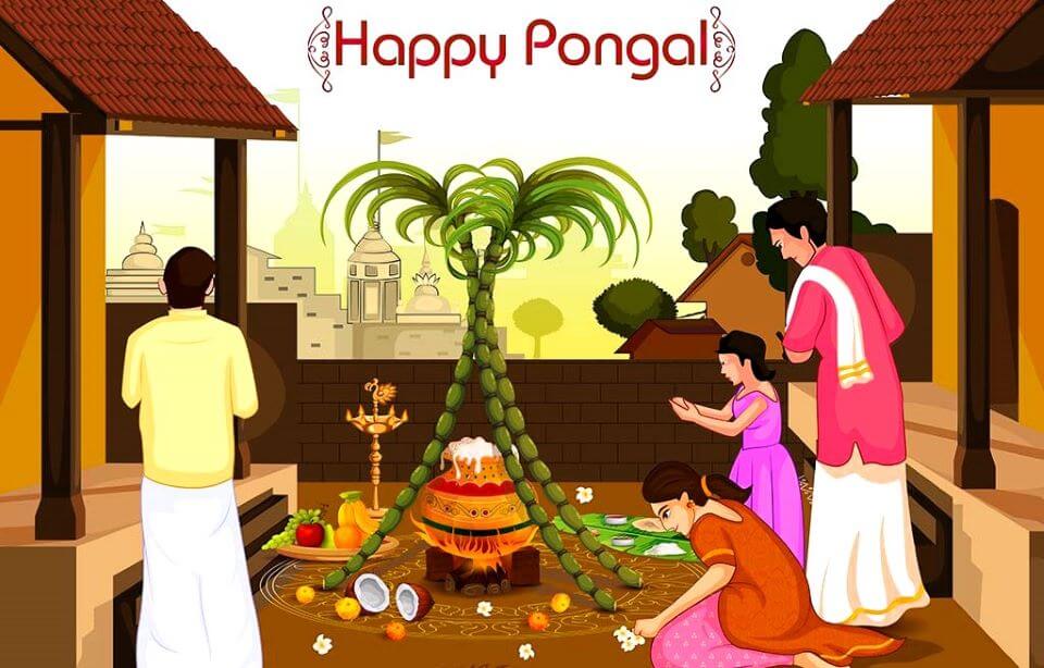 popular festivals of tamil nadu - pongal