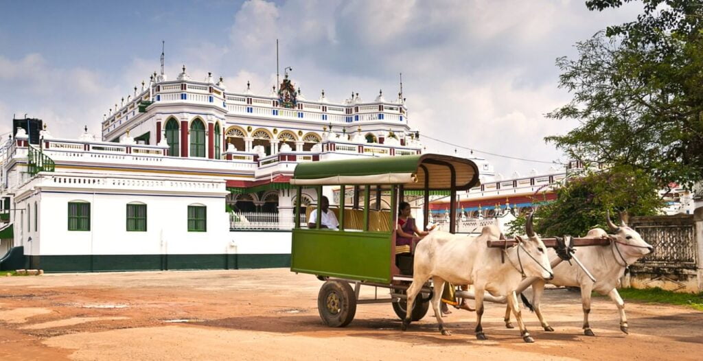 bullock cart ride chettinad