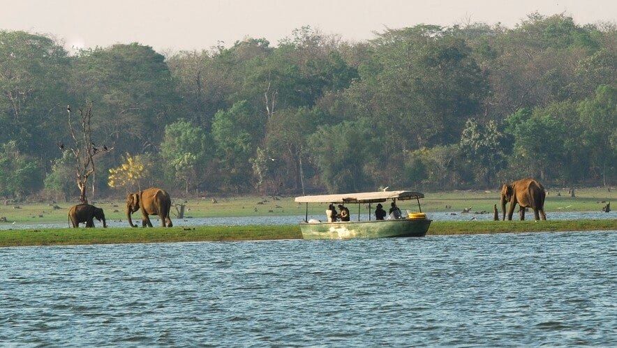 kabini wildlife sanctuary boat safari