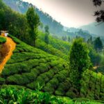 munnar hill station