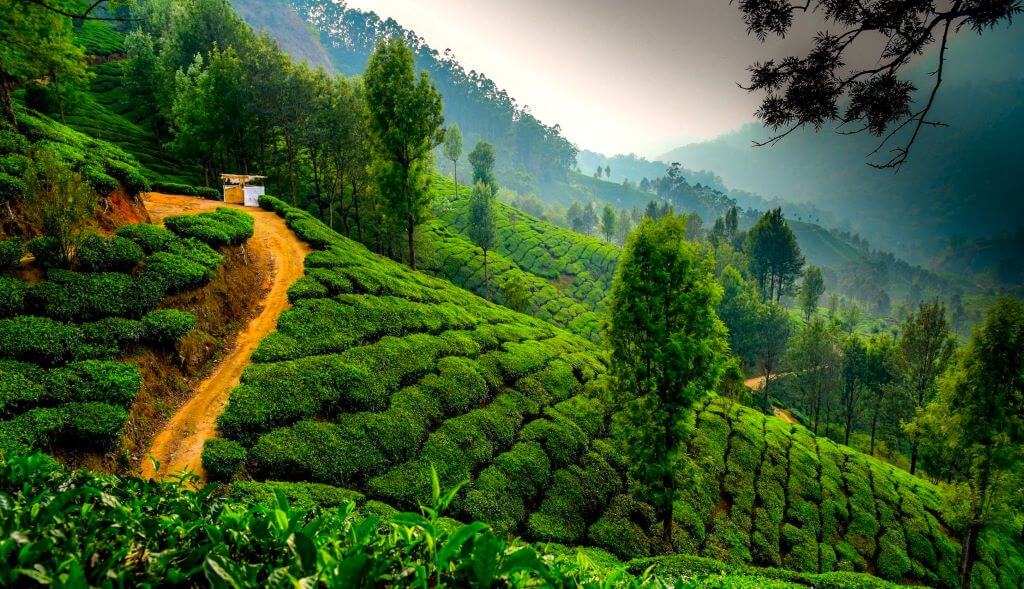 munnar hill station