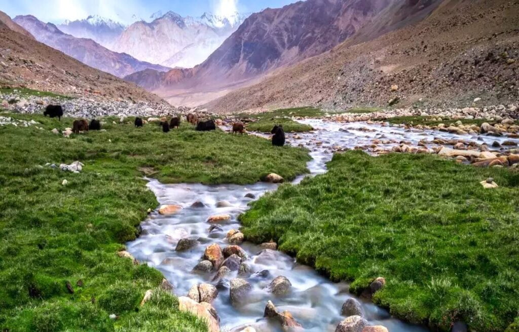 nubra valley ladakh