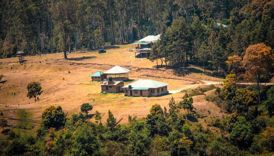 pampadum shola national park