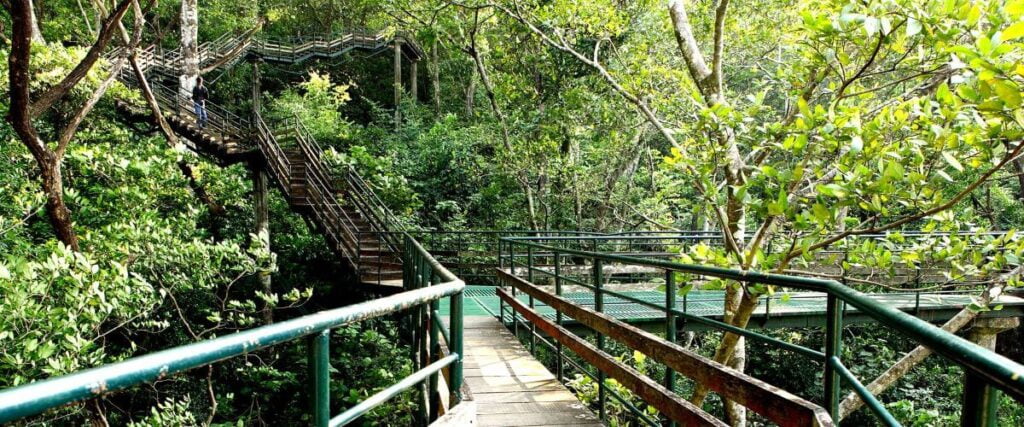 thenmala ecotourism