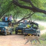 Jhalana Leopard Safari