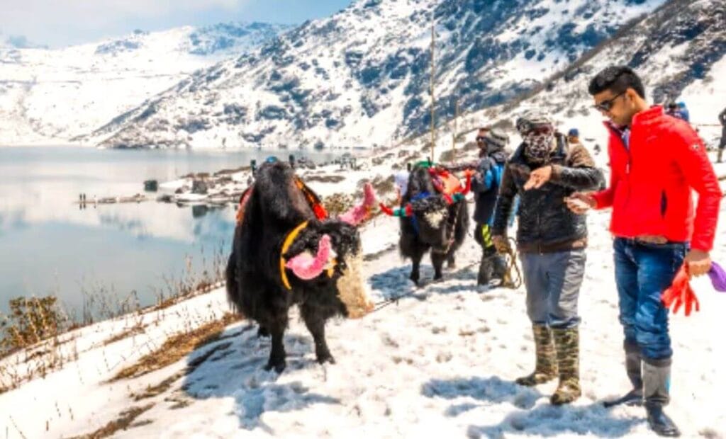 gangtok in winter