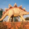 Fossil National Park