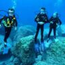 scuba diving in lakshadweep