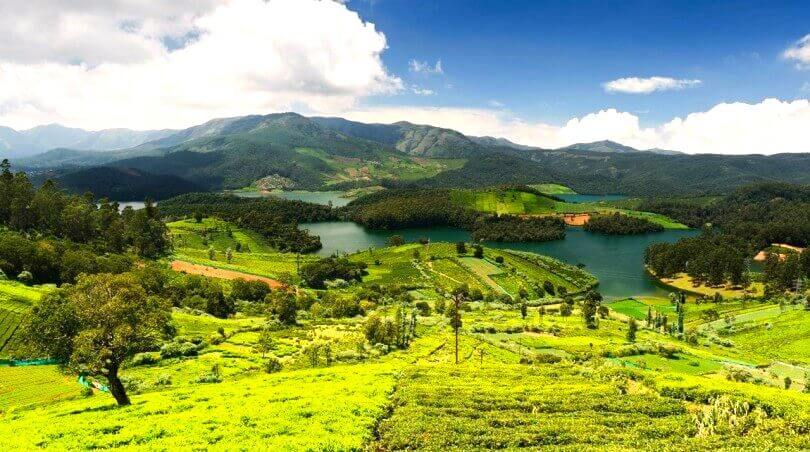 Ooty