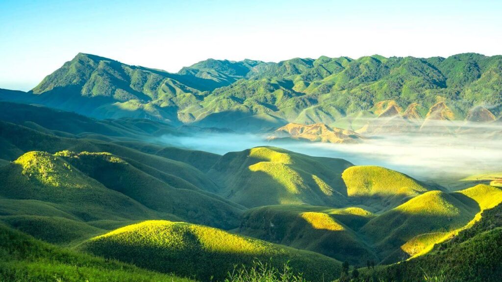 dzukou valley nagaland