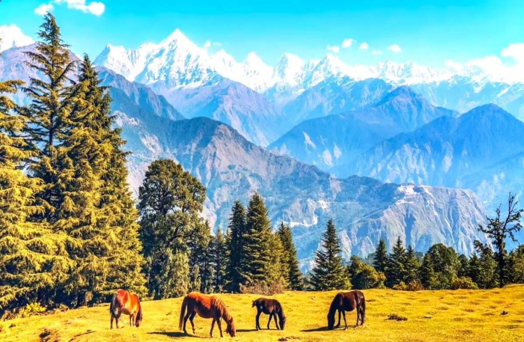 munsiyari uttarakhand