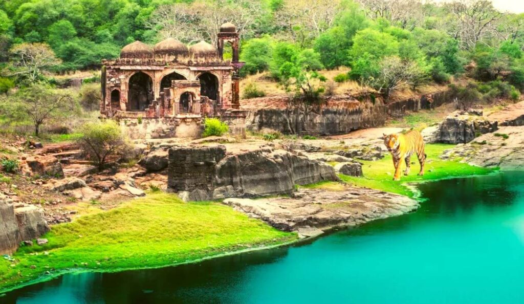 ranthambore national park tourist places