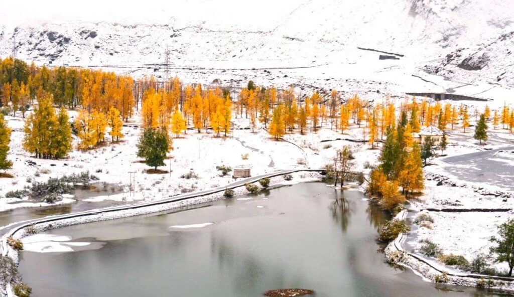 sissu himachal pradesh
