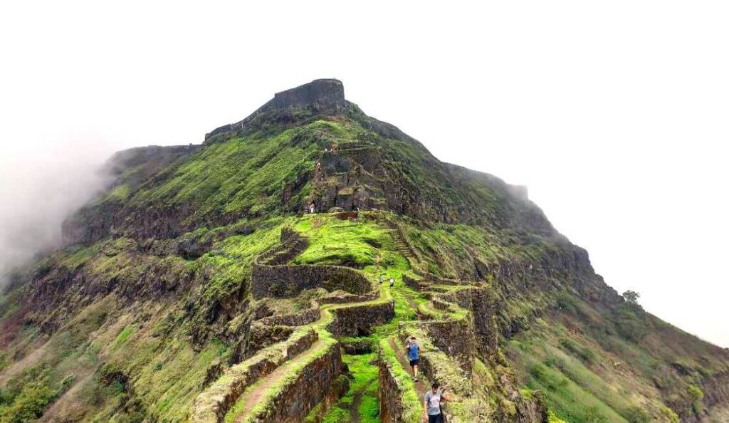 torna fort pune
