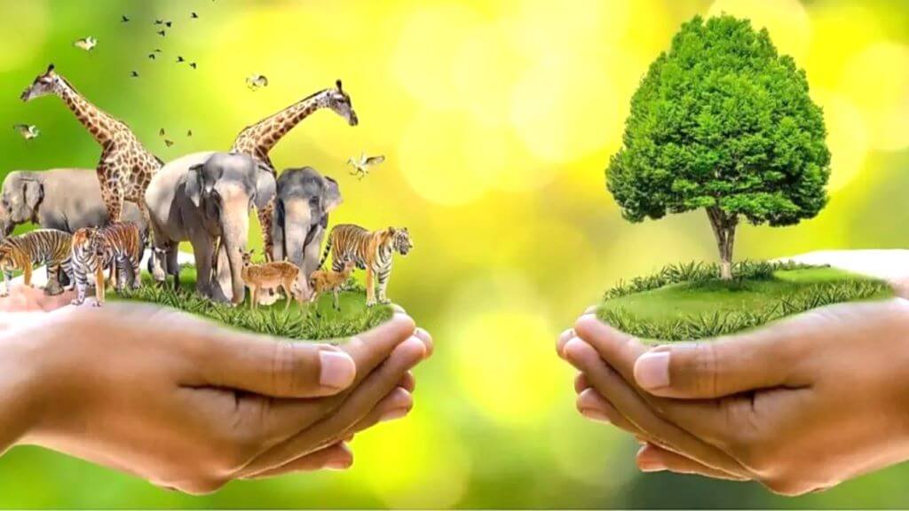importance of wildlife conservation