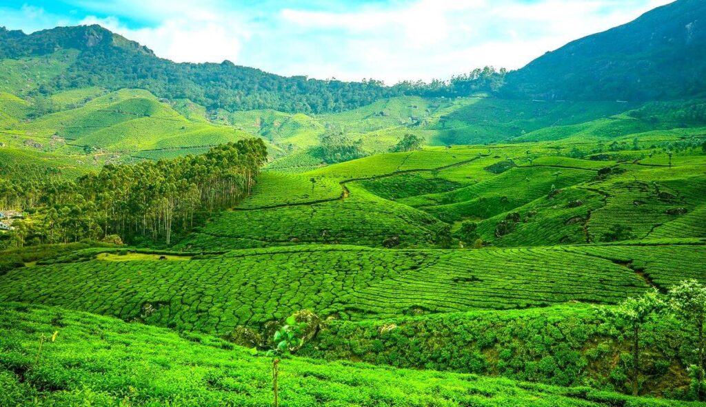 munnar kerala