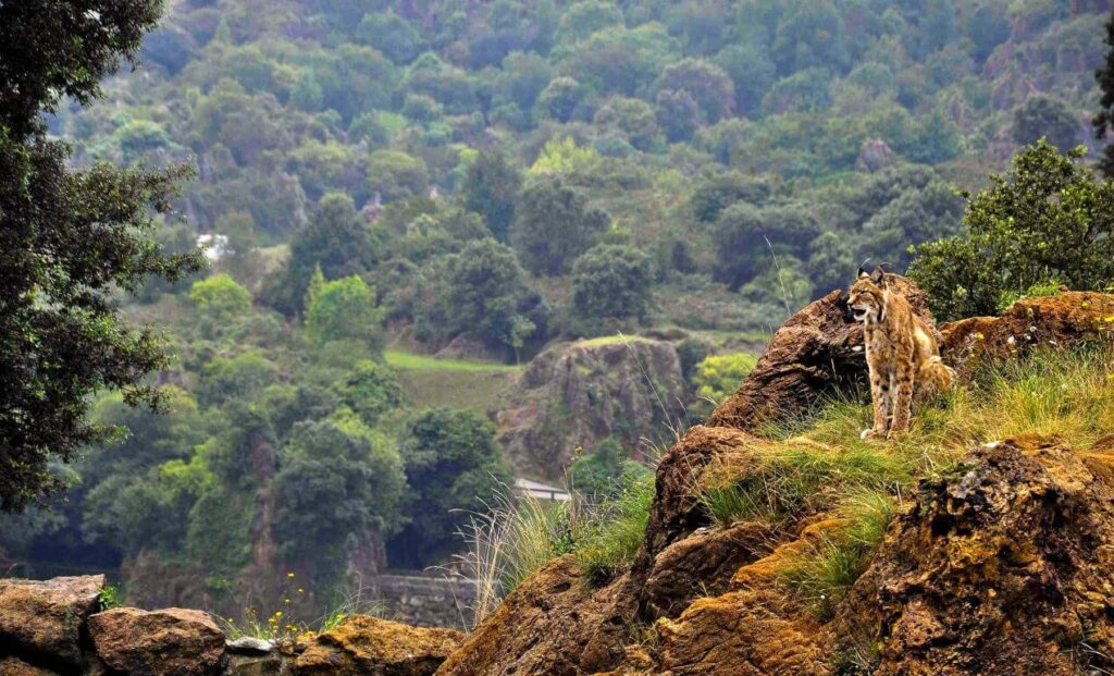 silent valley national park kerala