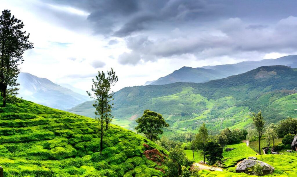 wayanad kerala