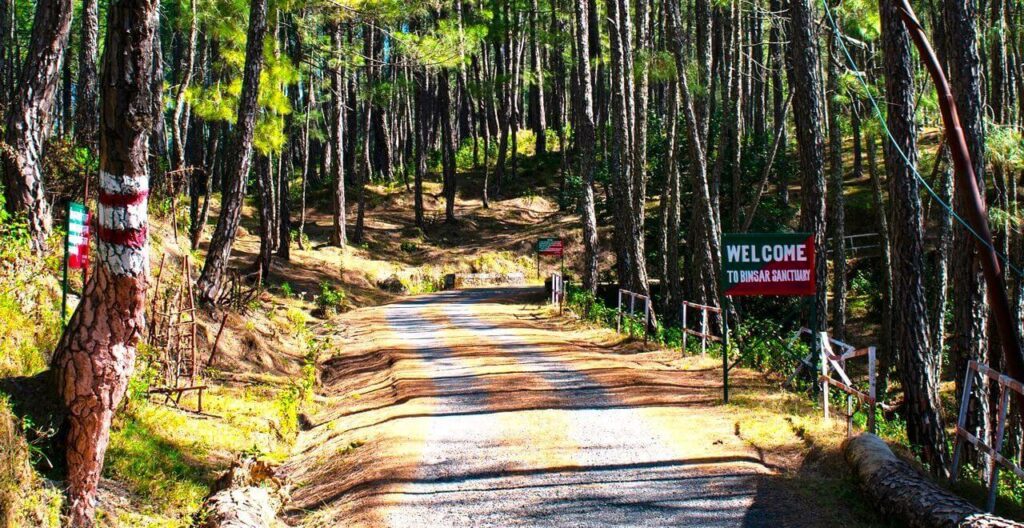 binsar-wildlife-sanctuary-uttarakhand