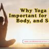 Why Yoga Is Important for Mind, Body, and Soul