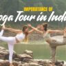 Imporatance of Yoga Tour in India