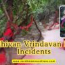 Nidhivan Vrindavan Real Incidents