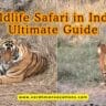 Wildlife Safari in India: Ultimate Guide