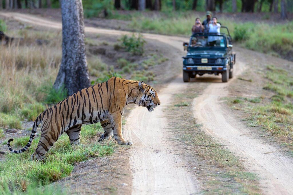 Kanha National Park