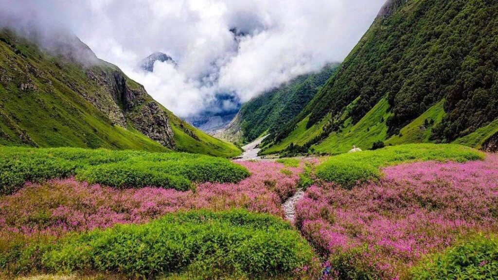 Nanda Devi and Valley of Flowers National Parks, Uttarakhand