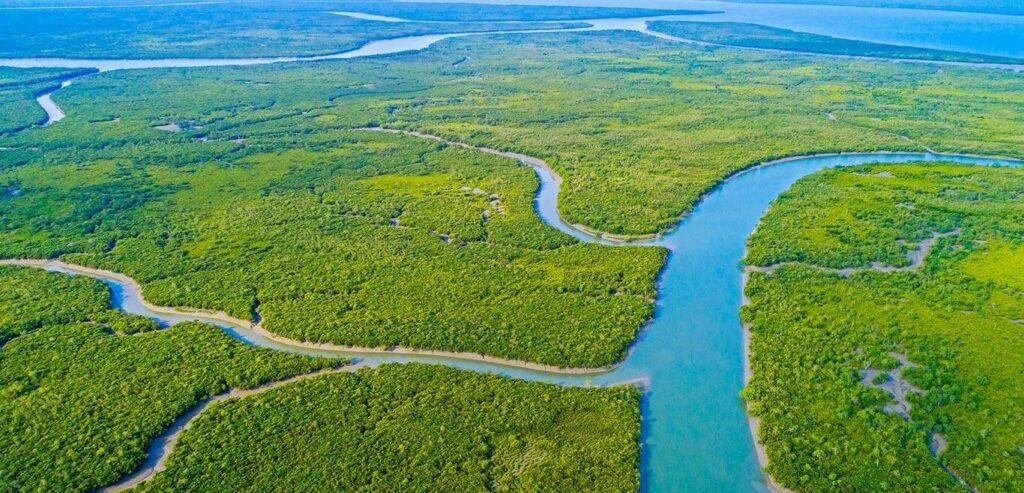 Sundarbans National Park, West Bengal