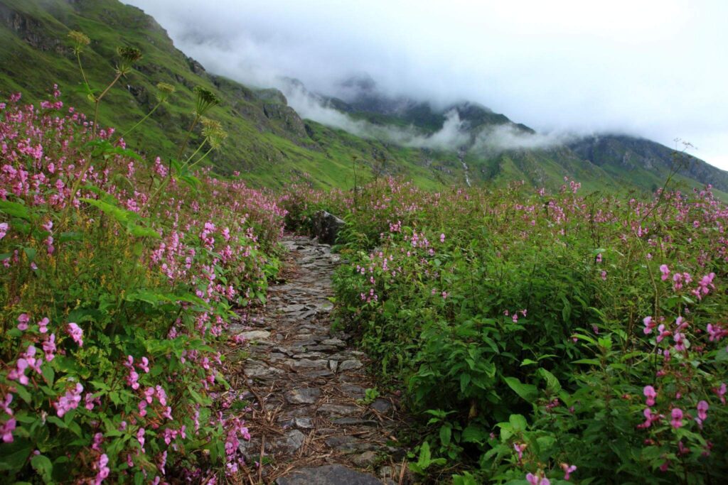 Valley of Flowers Trek (Uttarakhand)