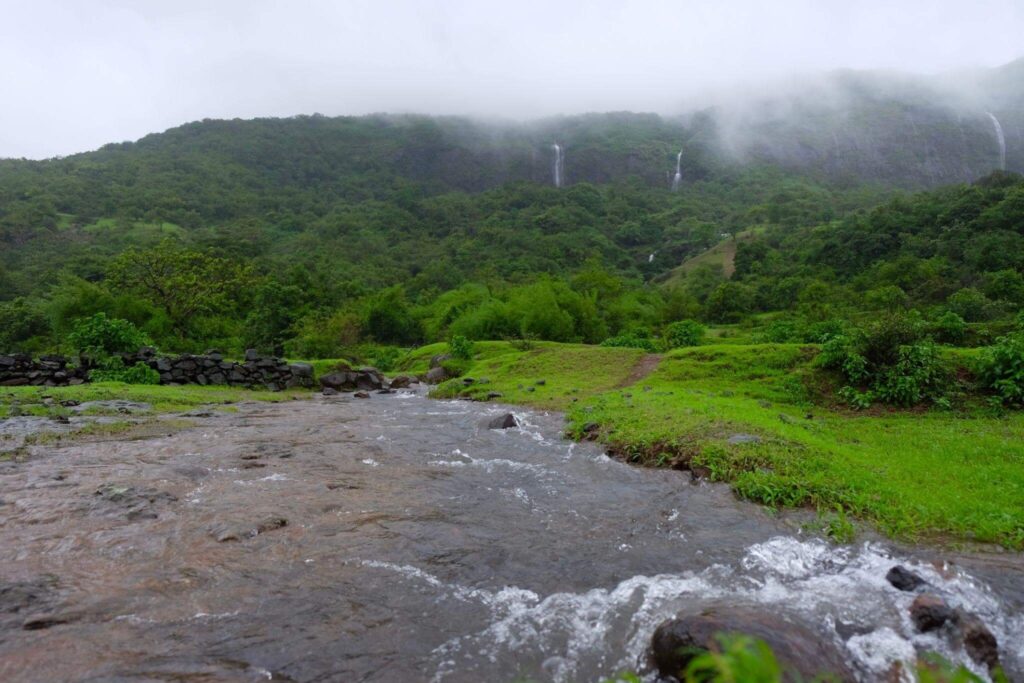 Western Ghats, Karnataka, Maharashtra, Kerala, Tamil Nadu