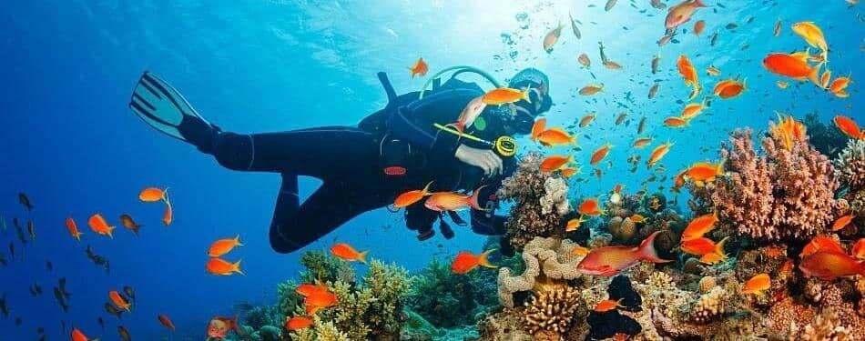Scuba Diving in Andaman