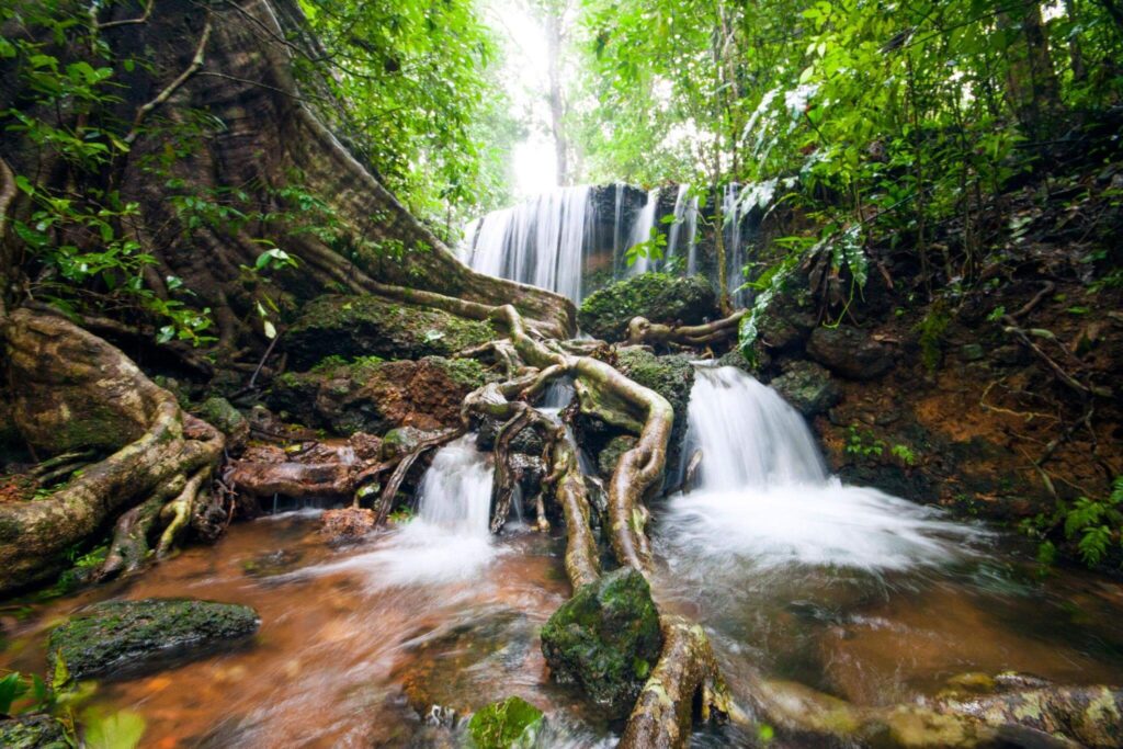 agumbe – karnataka