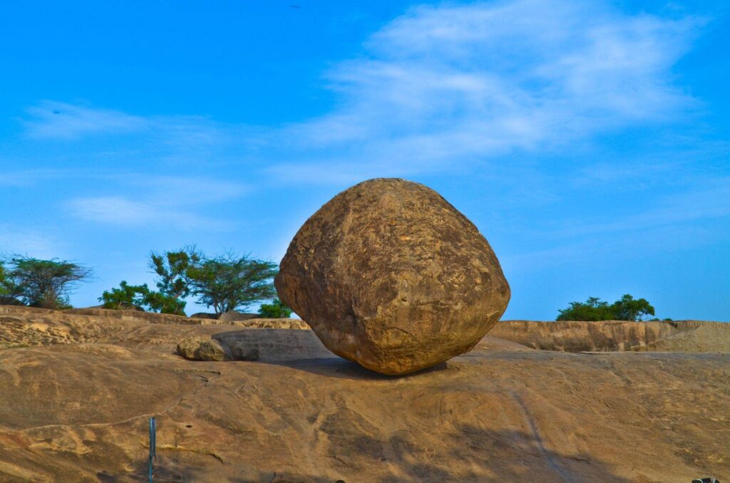 krishnas butterball – tamil nadu