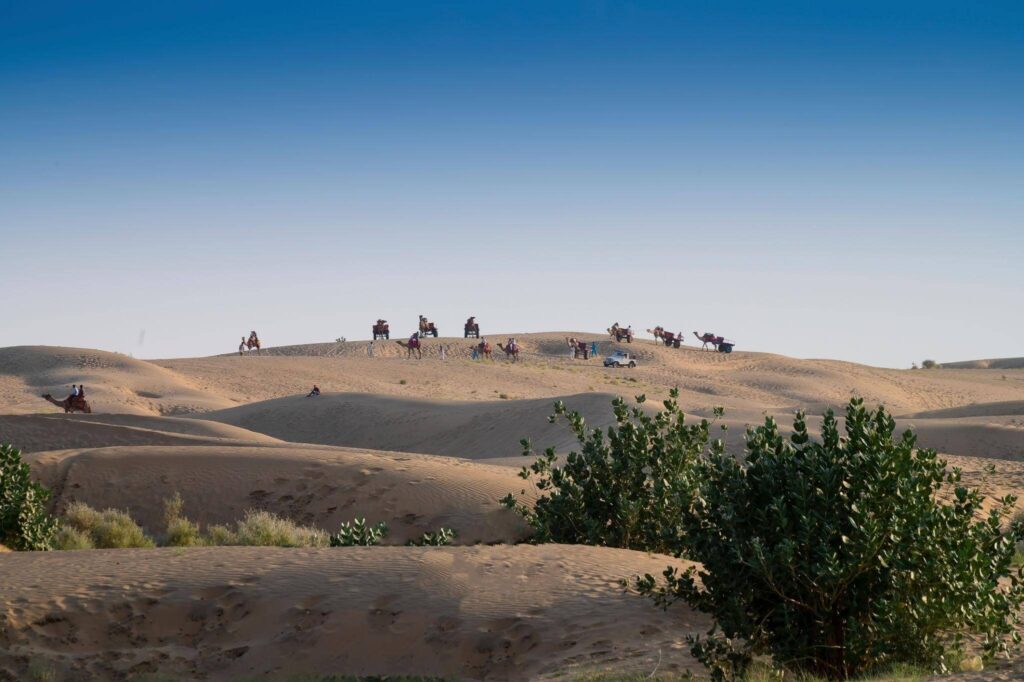 thar desert – rajasthan