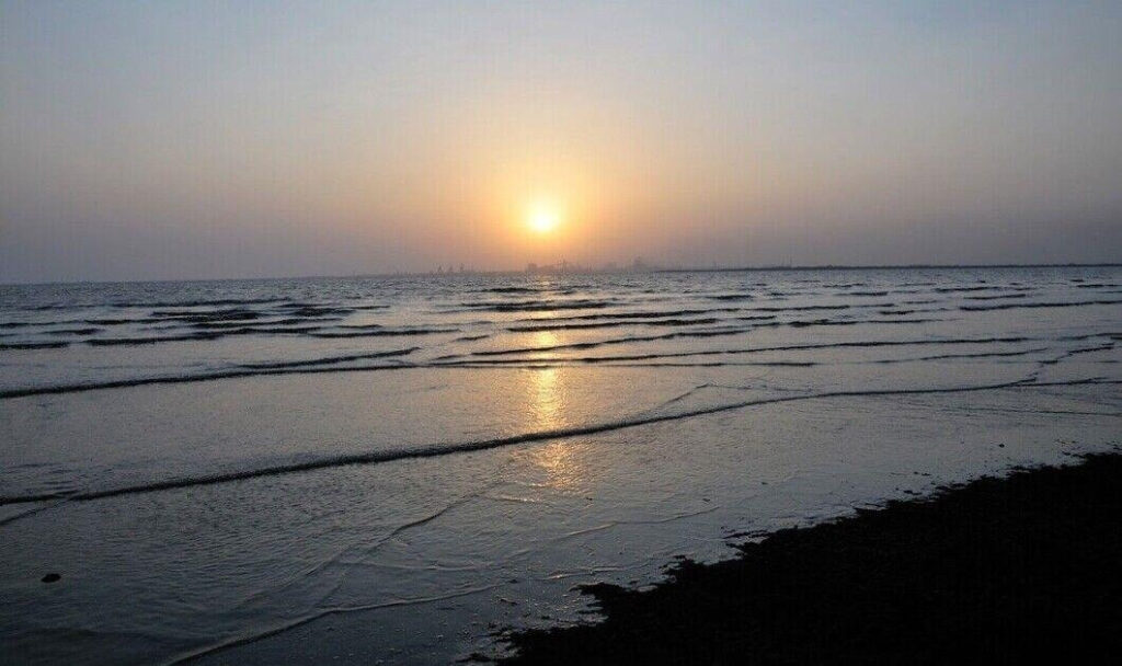 Dumas Beach Forest Edge, Gujarat
