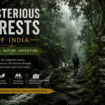 mysterious forests in india