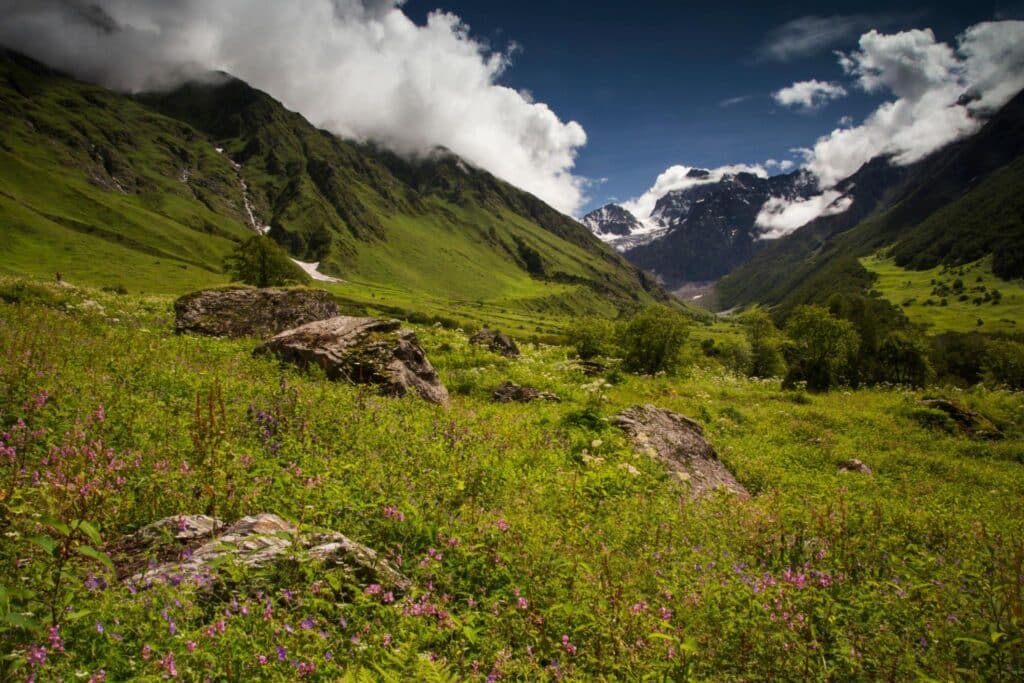 valley-of-flowers-uttarakhand-photography