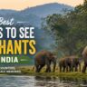 Best Places to See Elephants in India