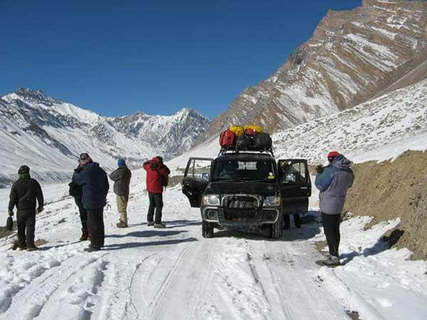 High-Altitude Wildlife Safari