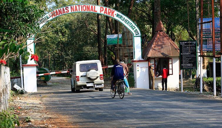 How to Reach Manas National Park