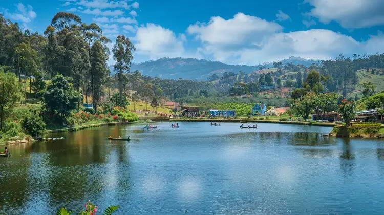 Ooty honeymoon destination