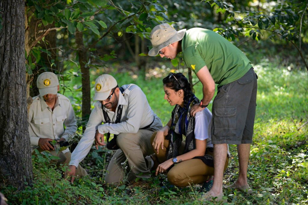 Responsible Wildlife Tourism
