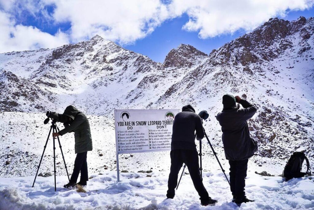 Snow leopard conservation