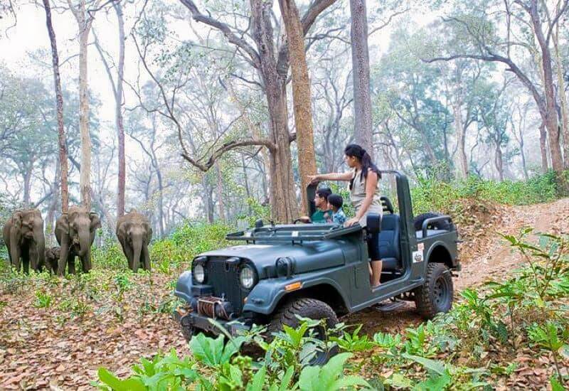 Wayanad Wildlife Sanctuary, Kerala